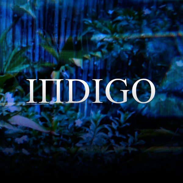 indigo